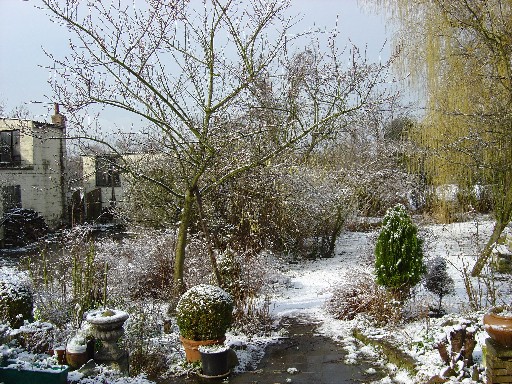 Tuin met sneeuw (122K)